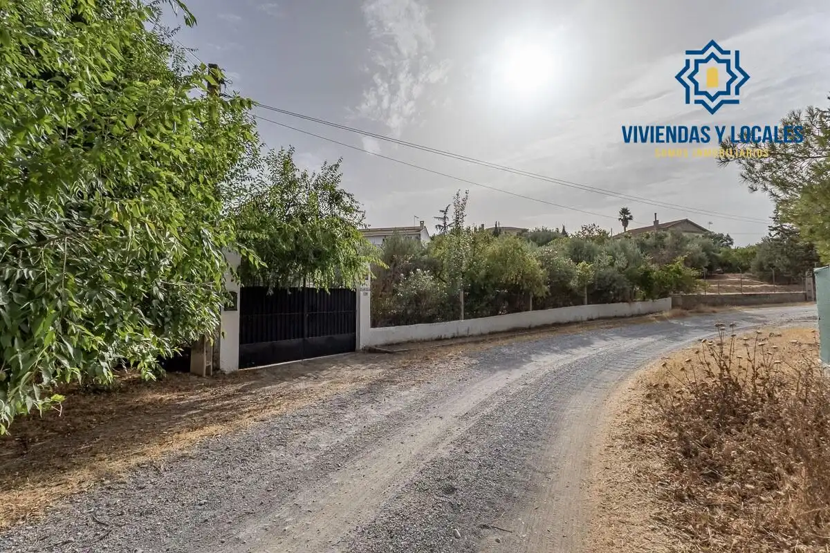 Xalet amb piscina en venda a Aljomahima - Ermita, imagen 49