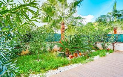Jardí de Planta baixa en venda en  Palma de Mallorca amb Aire condicionat, Terrassa i Piscina comunitària
