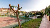 Vista exterior de Casa o xalet en venda en Alicante / Alacant amb Aire condicionat, Terrassa i Piscina