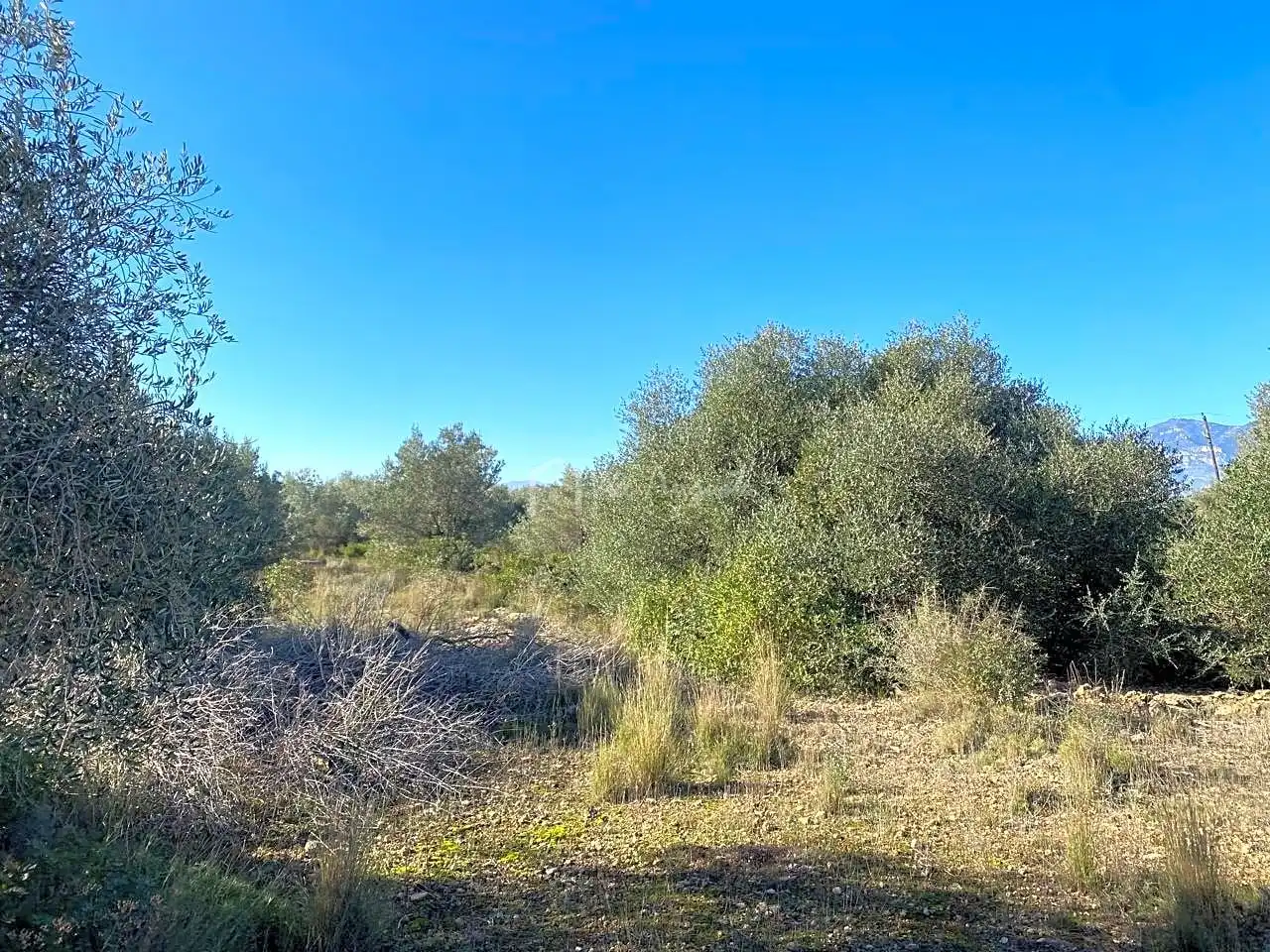 Terreno rustico in vendita a Pas de Berenguer, imagen 23