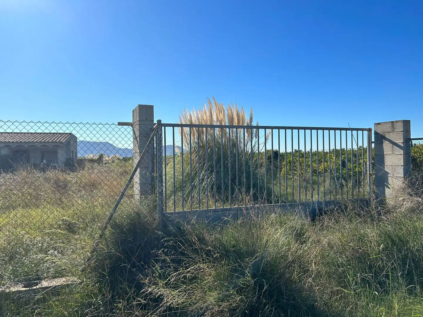 Rural land for sale in Sueca ciudad, imagen 3