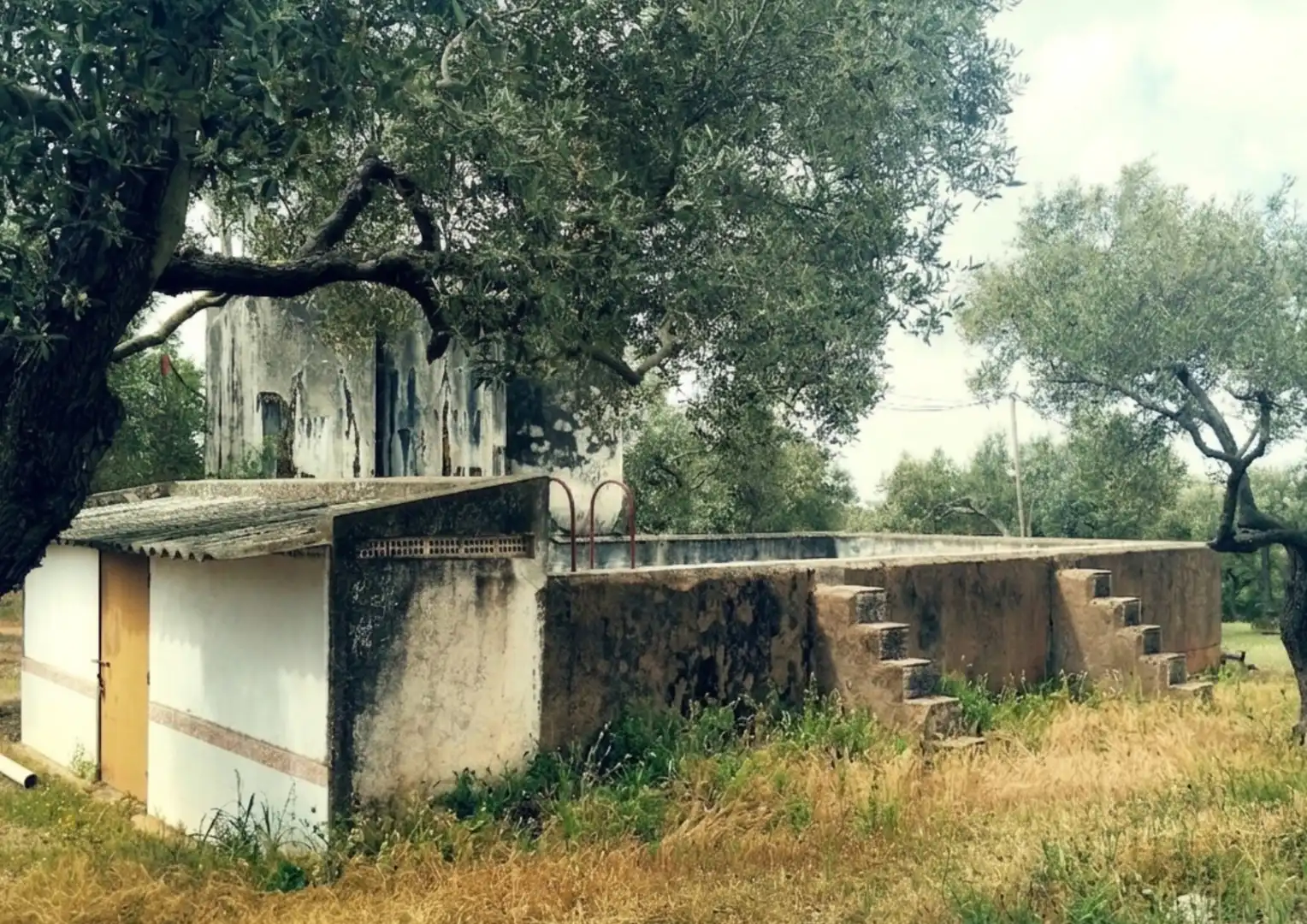 Vista exterior de Finca rústica en venta en La Palma del Condado con Jardín privado, Terraza y Trastero