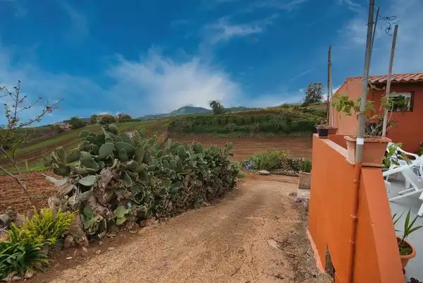 Jardín de Finca rústica en venta en Santa María de Guía de Gran Canaria con Jardín privado, Trastero y Piscina