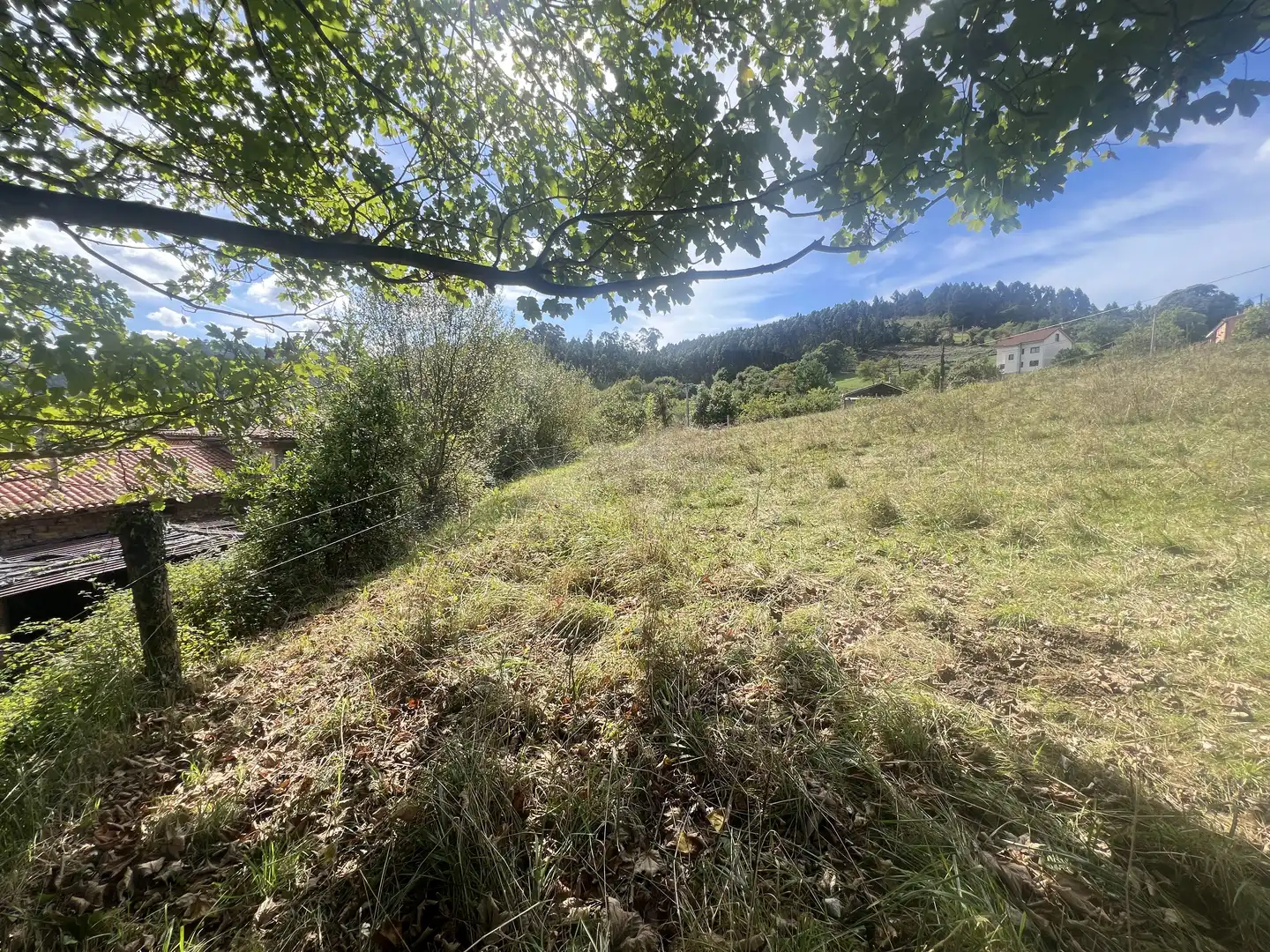 Lands and plots for sale in Pillarno, imagen 14