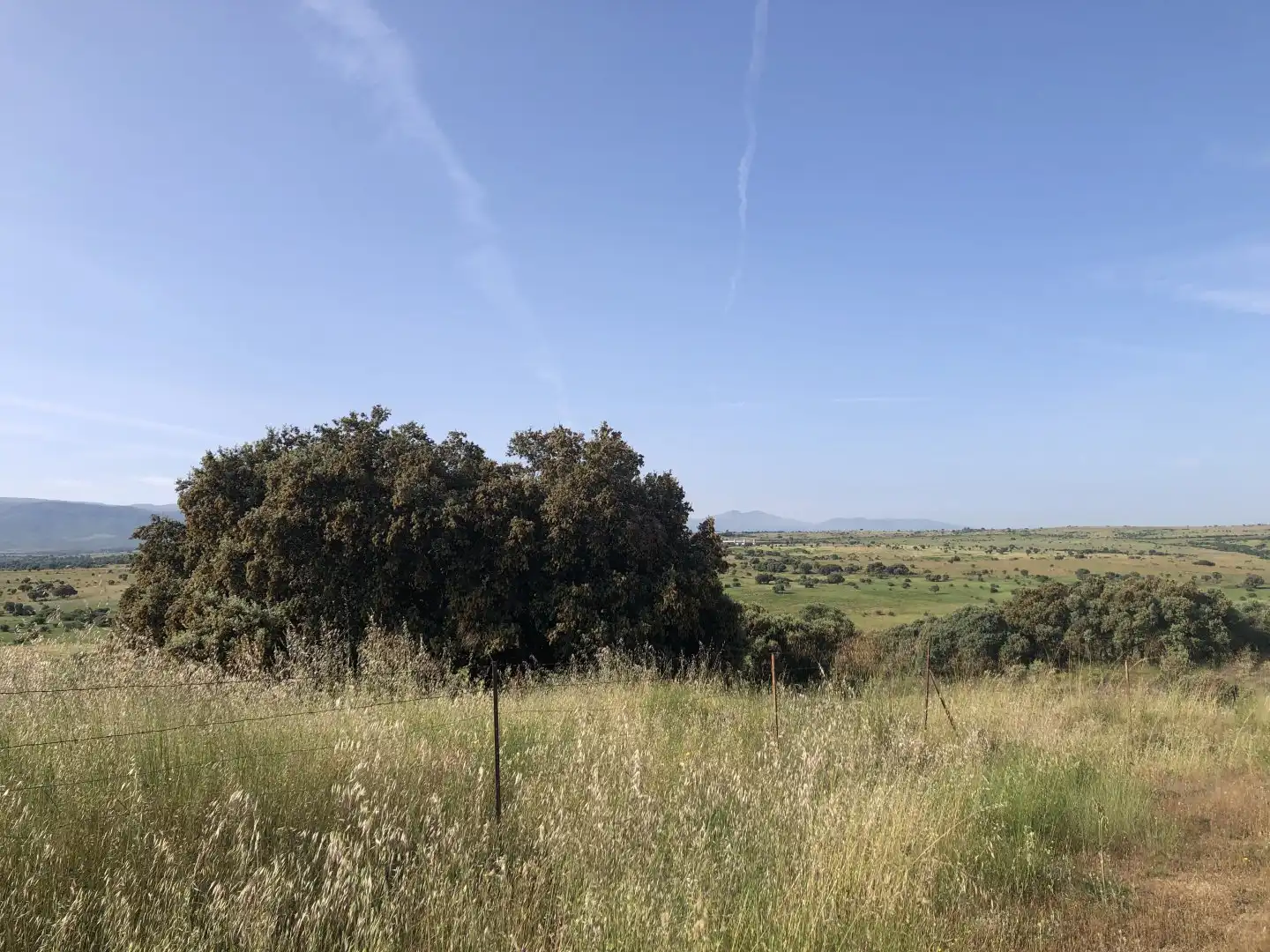 Terreni e lotti in vendita a Pelayos del Arroyo, imagen 4