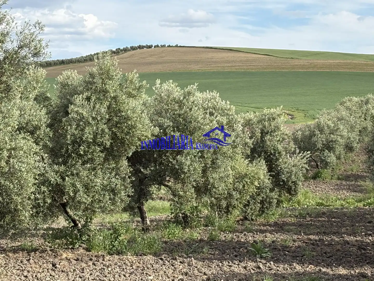Finca rústica en venda en El Carpio