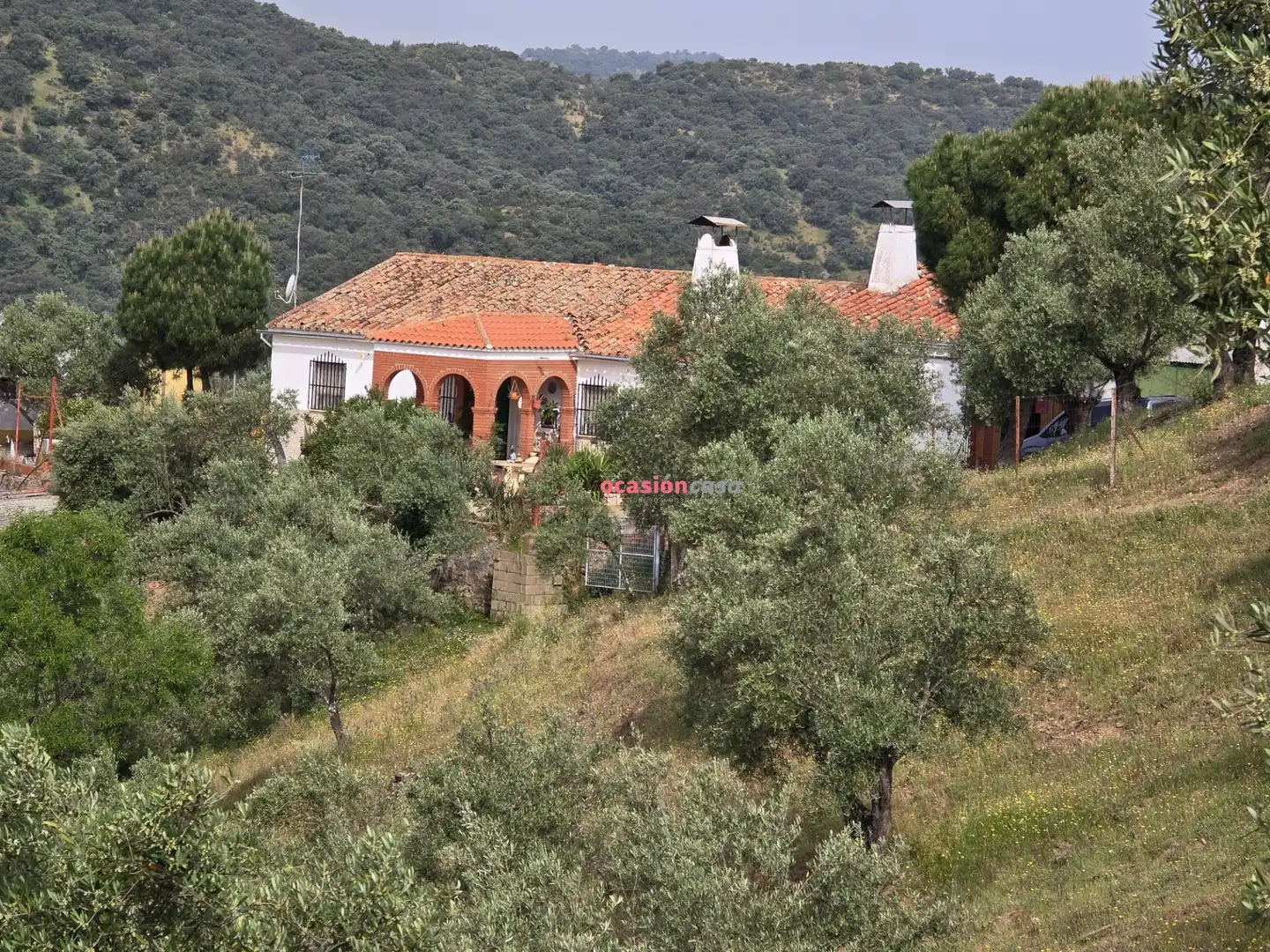 Vista exterior de Finca rústica en venta en Pozoblanco