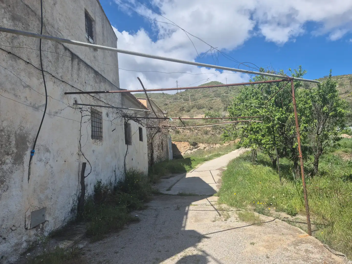 Vista exterior de Finca rústica en venta en Albánchez con Jardín privado y Terraza