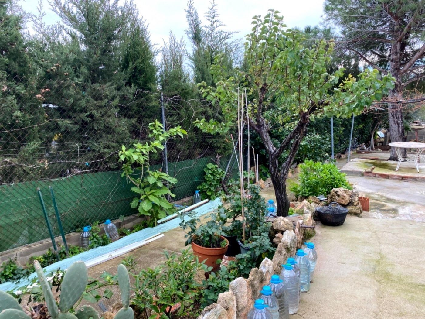 Garden of Country house for sale in Valls