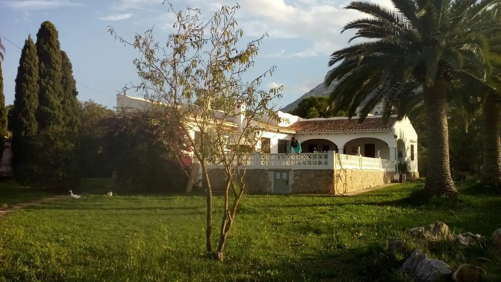 Vista exterior de Casa o chalet en venta en Dénia con Aire acondicionado, Calefacción y Jardín privado