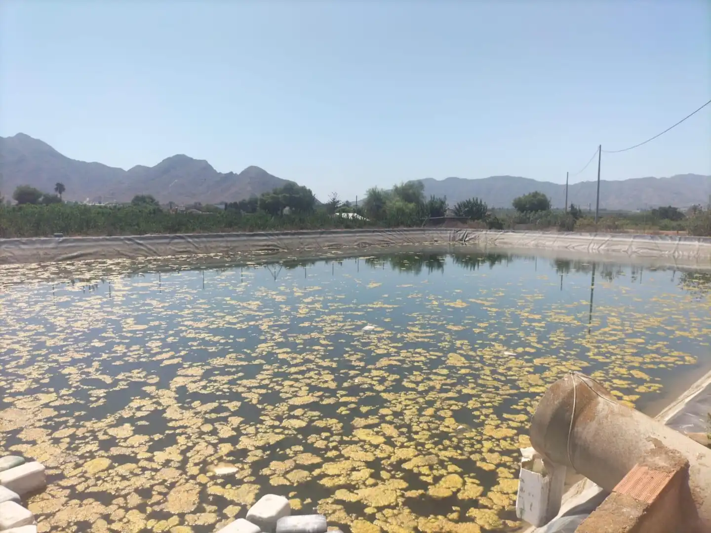 Rural land for sale in La Murada - Los Vicentes, imagen 7