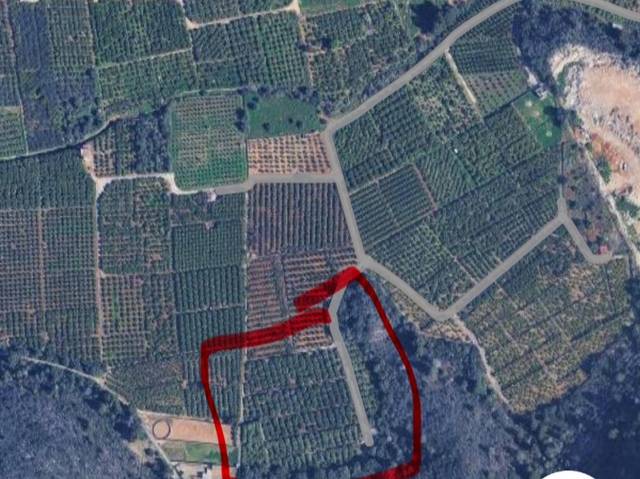 Terreno en Venta en Partida Manegues, 104 en Oliva pueblo