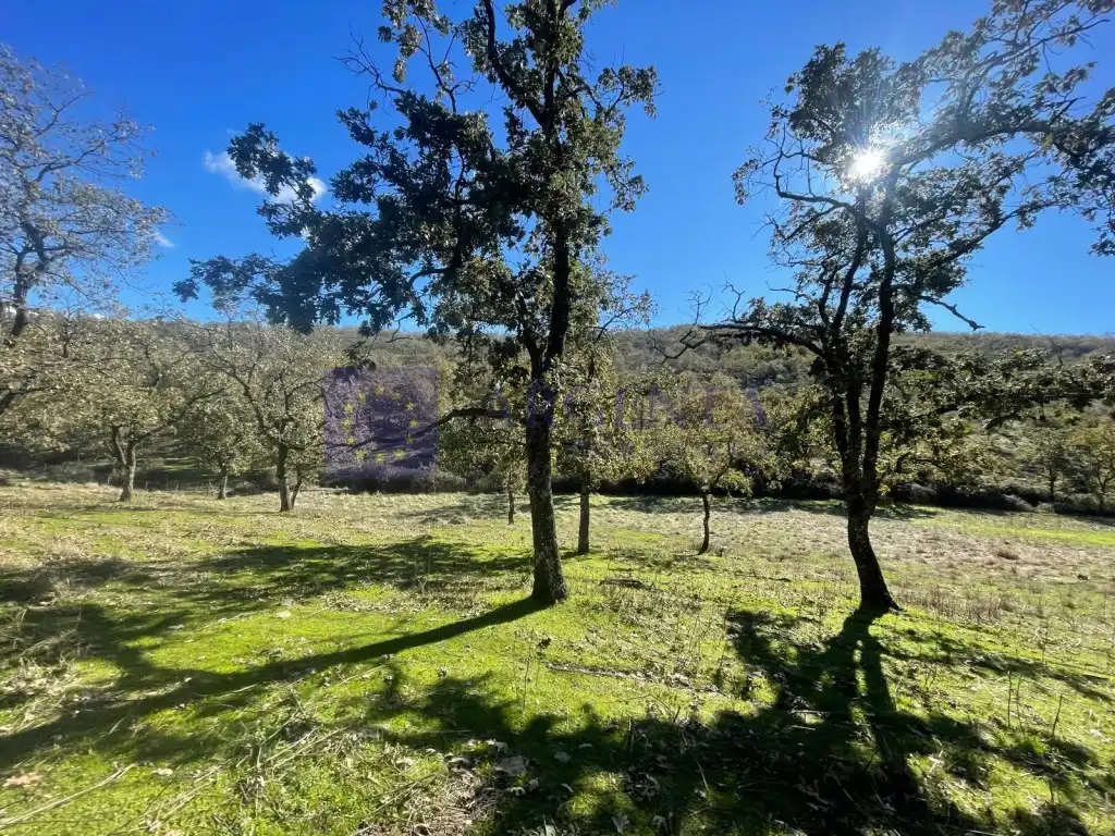 House for sale in Diseminados Carrascal, imagen 4