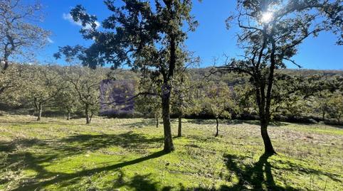 Foto 4 de Casa o chalet en venta en Diseminados Carrascal, Trujillo, Cáceres