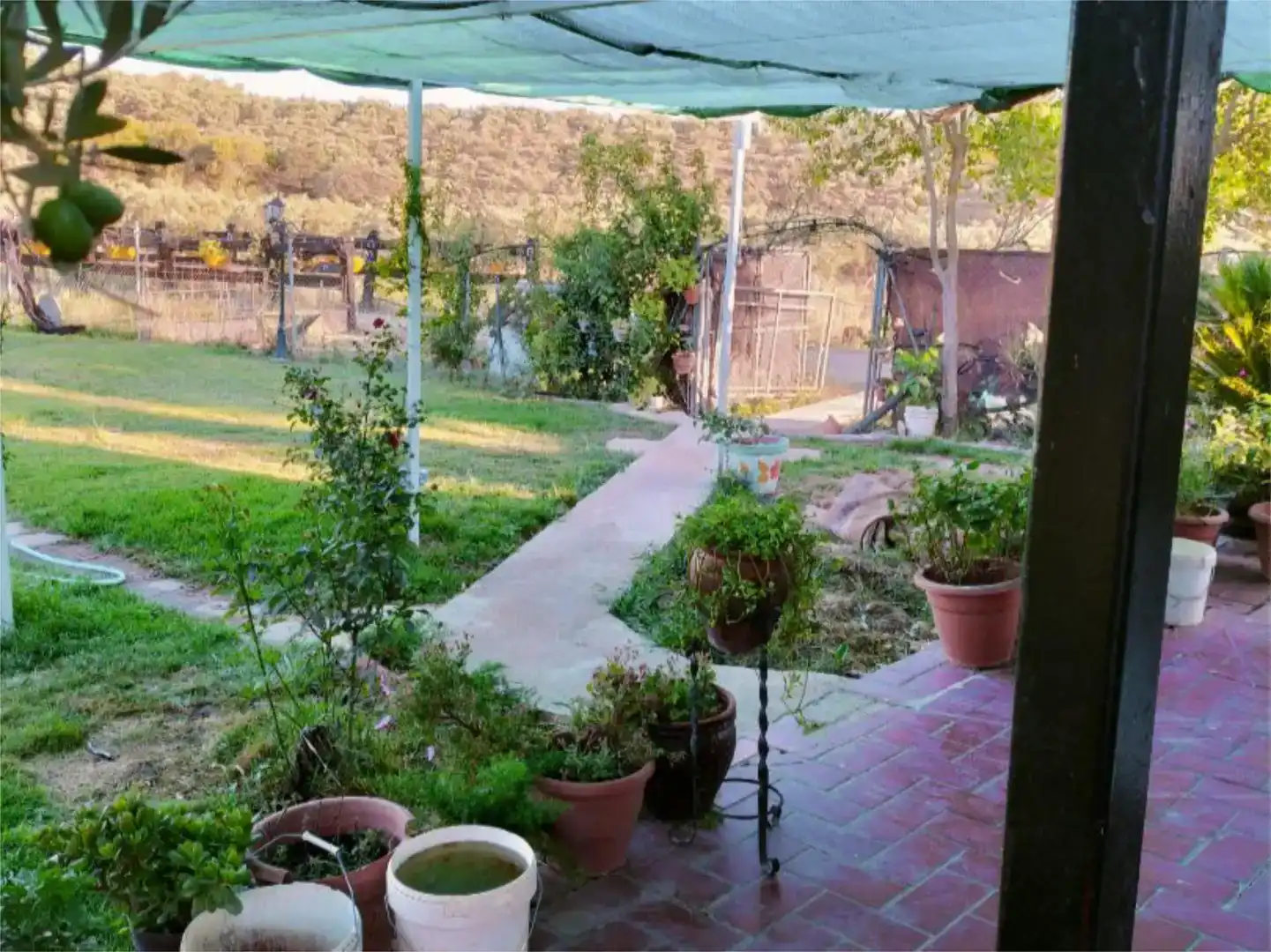 Jardí de Casa o xalet en venda en Guadalcanal amb Jardí privat i Piscina
