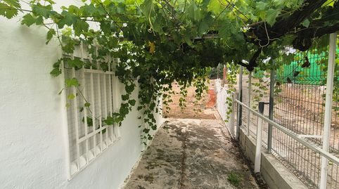 Foto 4 de Finca rústica en venda a Partida Montaner, 301a, Urbanizaciones, Gandia