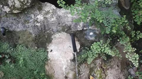 Foto 5 de Finca rústica en venda a Montagut i Oix, Girona