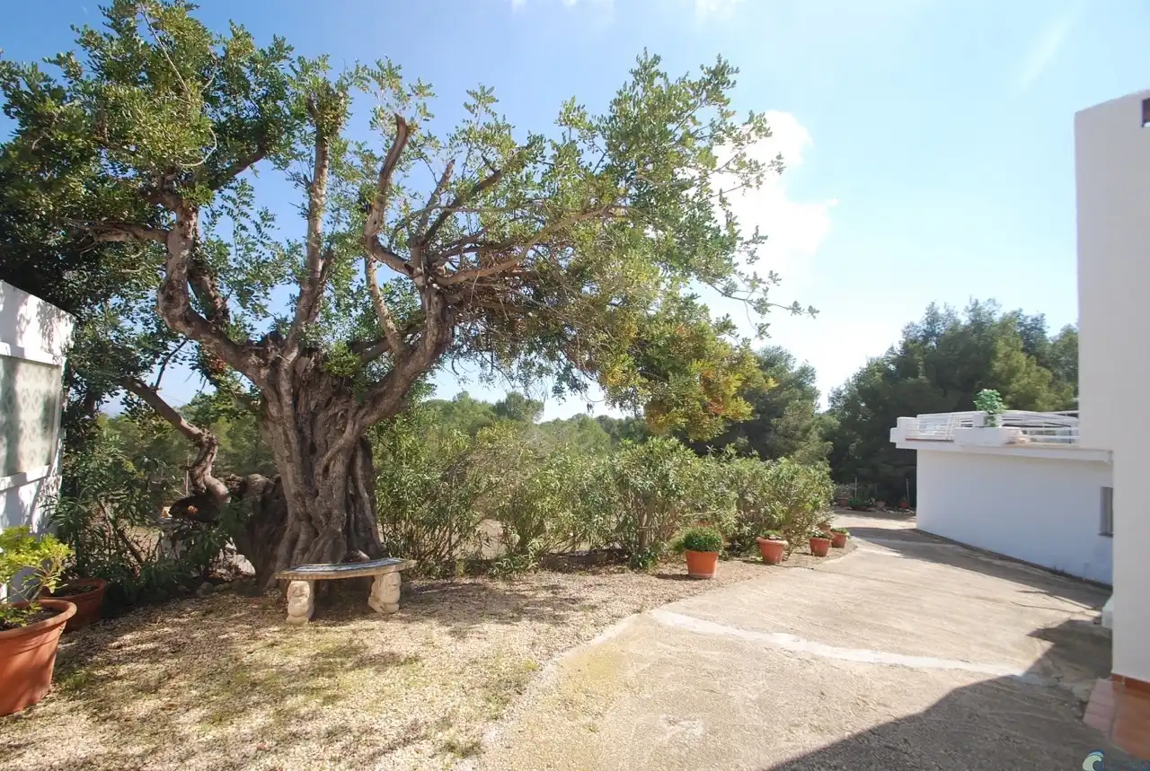 Casa o xalet en venda a Escandinavia - Cautivador