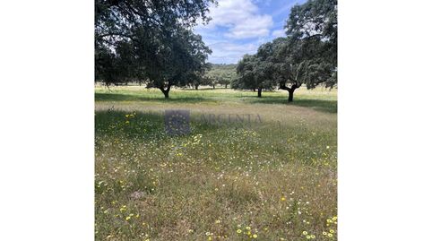 FINCA EN VENTA 80 HAS ZONA TRUJILLO