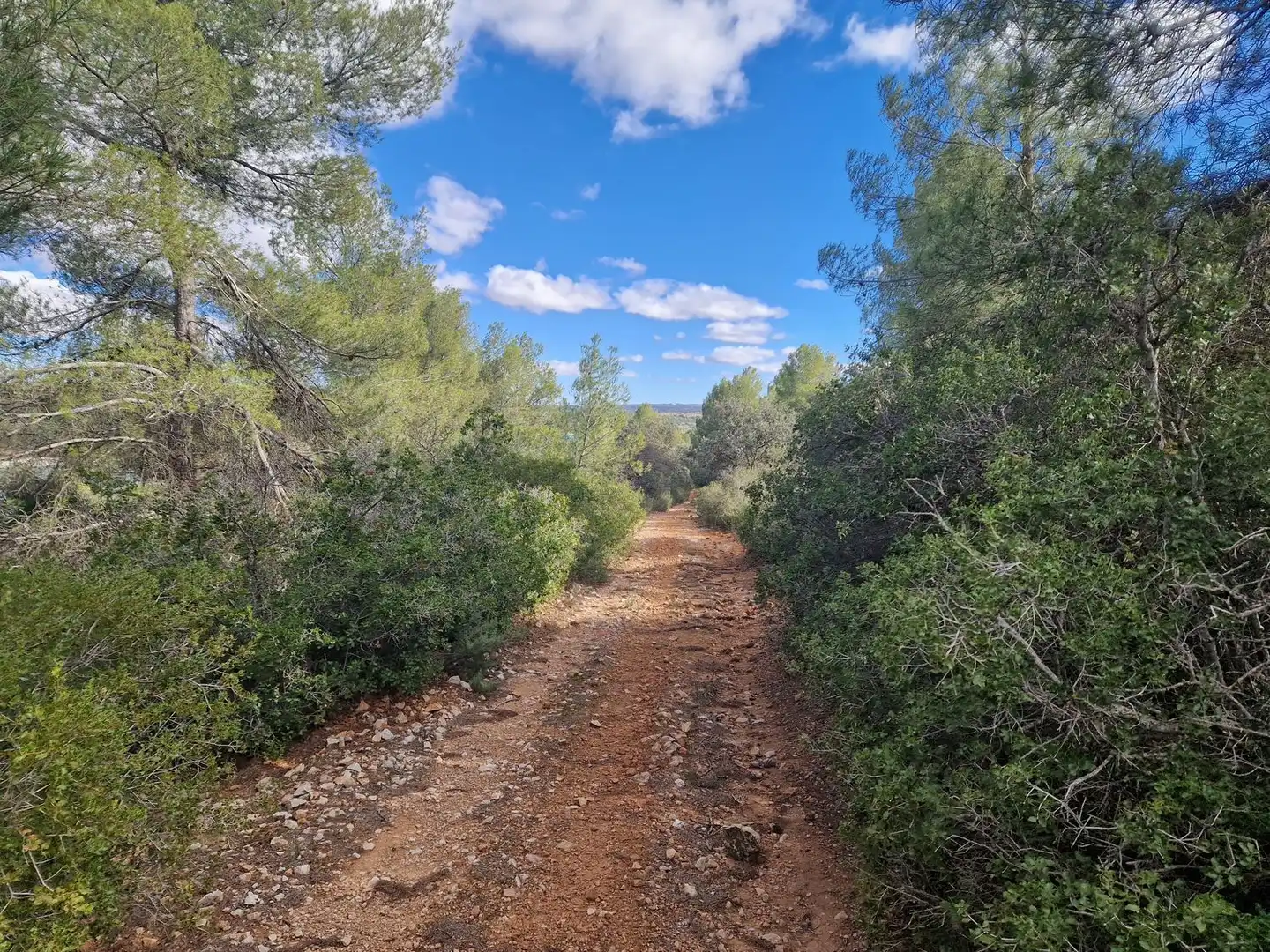 Rural land for sale in Pantano de Peñarroya 0, imagen 17