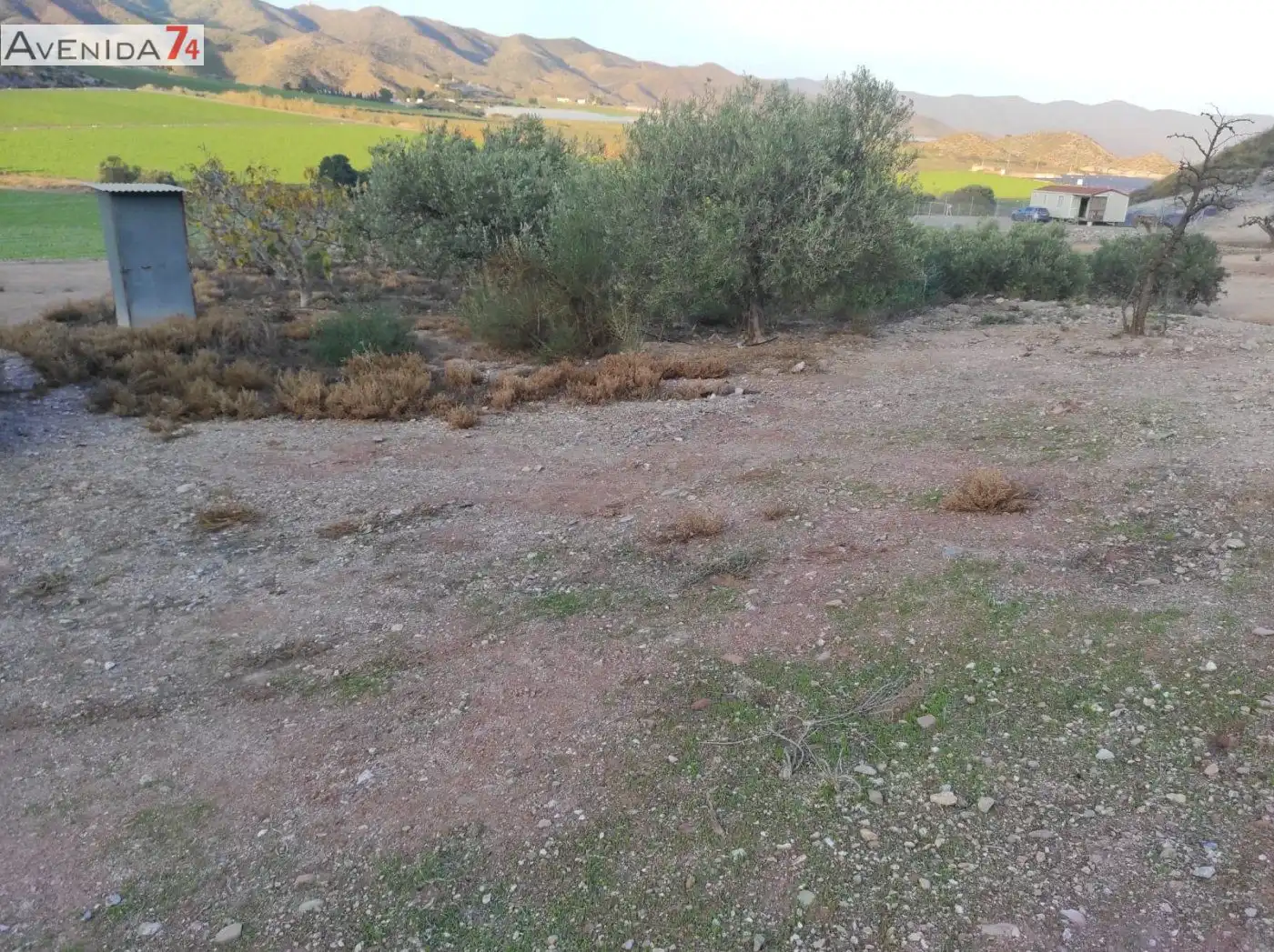 Casa amb jardí en venda a Tébar - Los Arejos, imagen 13