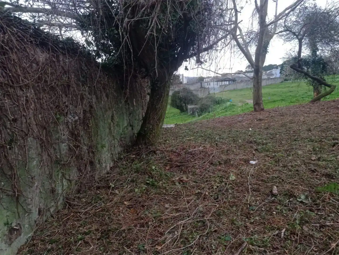 Residencial en venta en Viveiro