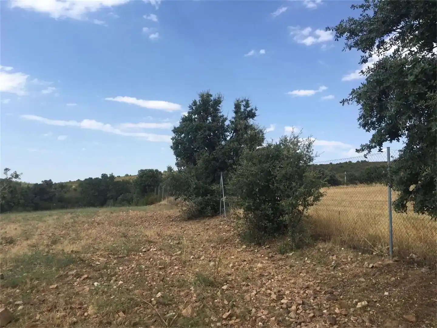 Land for sale in Hontanar