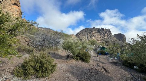 Foto 5 de Terreno en venta en San Bartolomé Interior, San Bartolomé de Tirajana