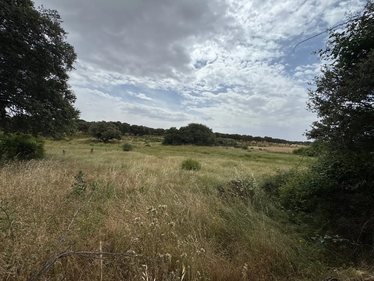 Terreno en venta en Añover de Tormes