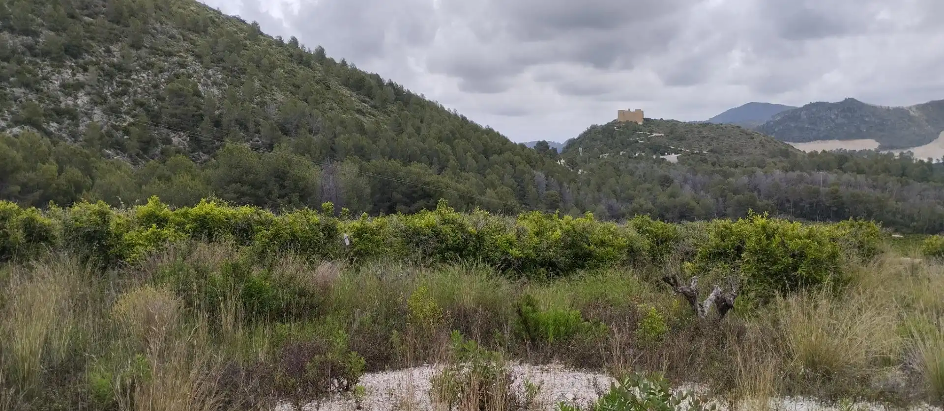 Rural land for sale in L'Atzúbia, imagen 7