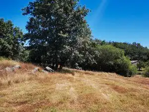 Terreni e lotti in vendita a Jarandilla de la Vera, imagen 5