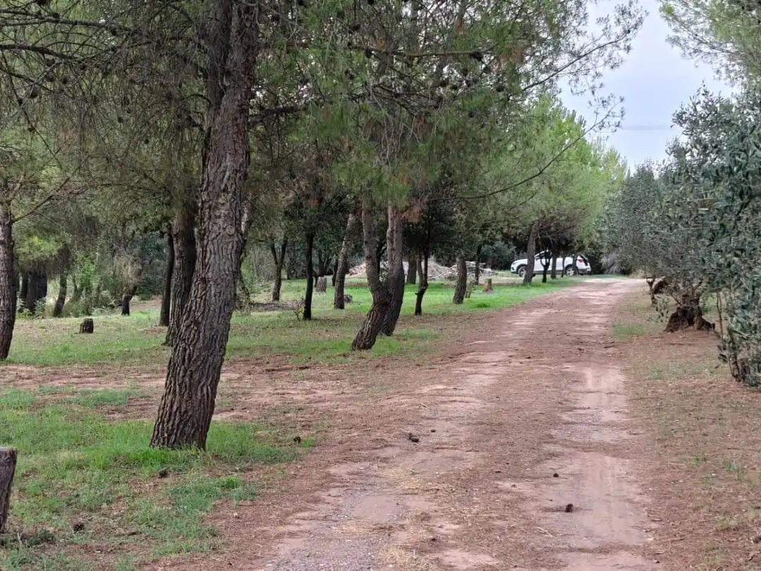 Terreno en venta en Manresa