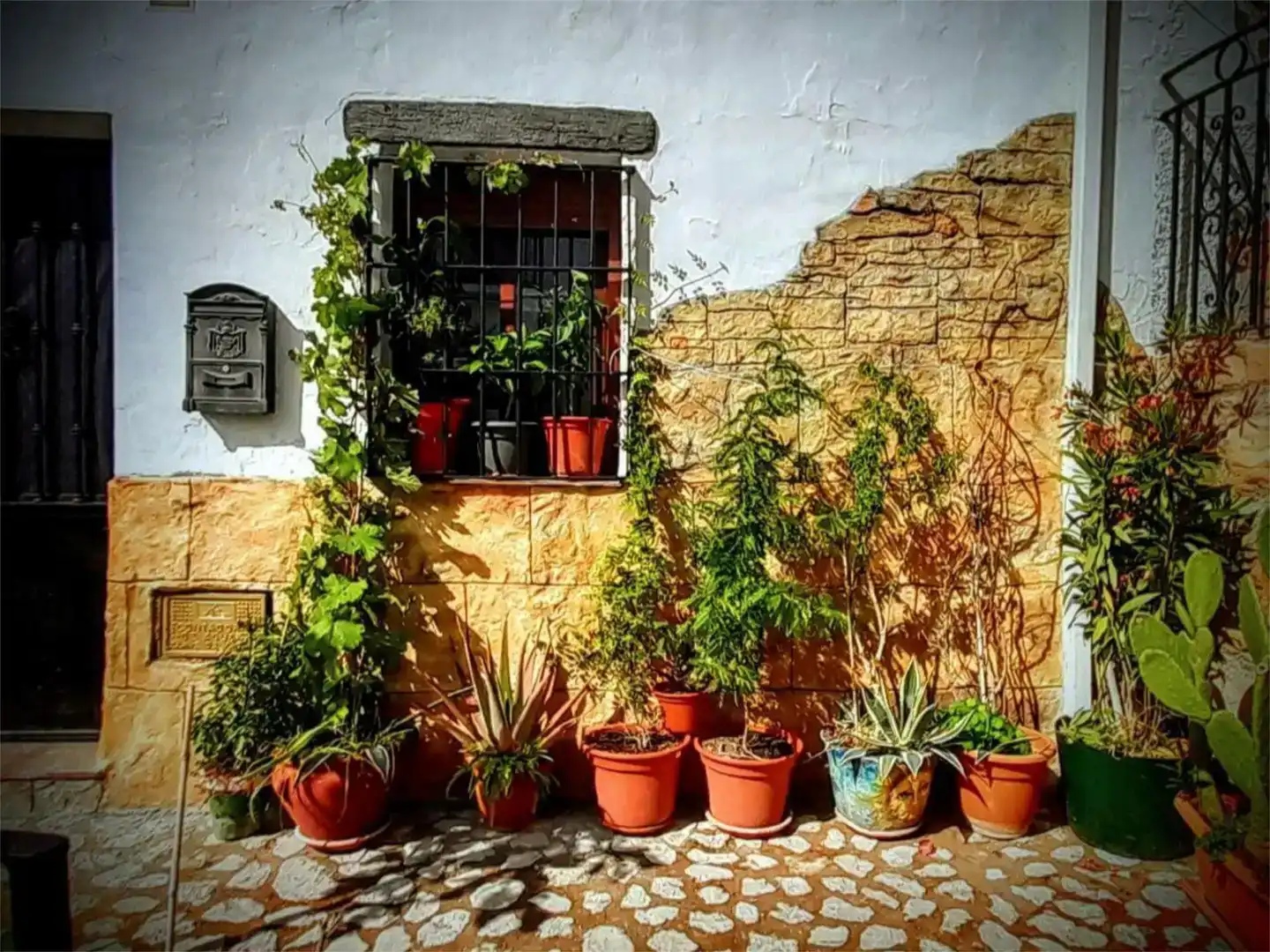 Vista exterior de Casa adosada en venda en Peal de Becerro amb Jardí privat, Traster i Moblat