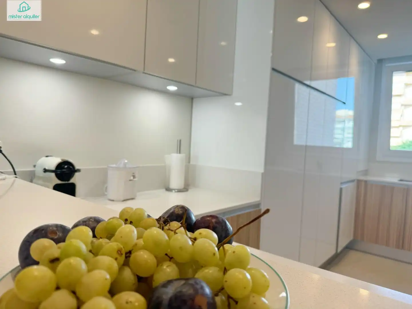 Kitchen of Apartments for rent in El Campello  with Air Conditioner, Private garden and Terrace