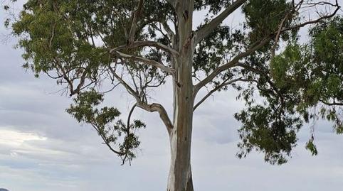 Foto 3 de Terreno en venta en Camino el Hornico, Sucina,  Murcia Capital