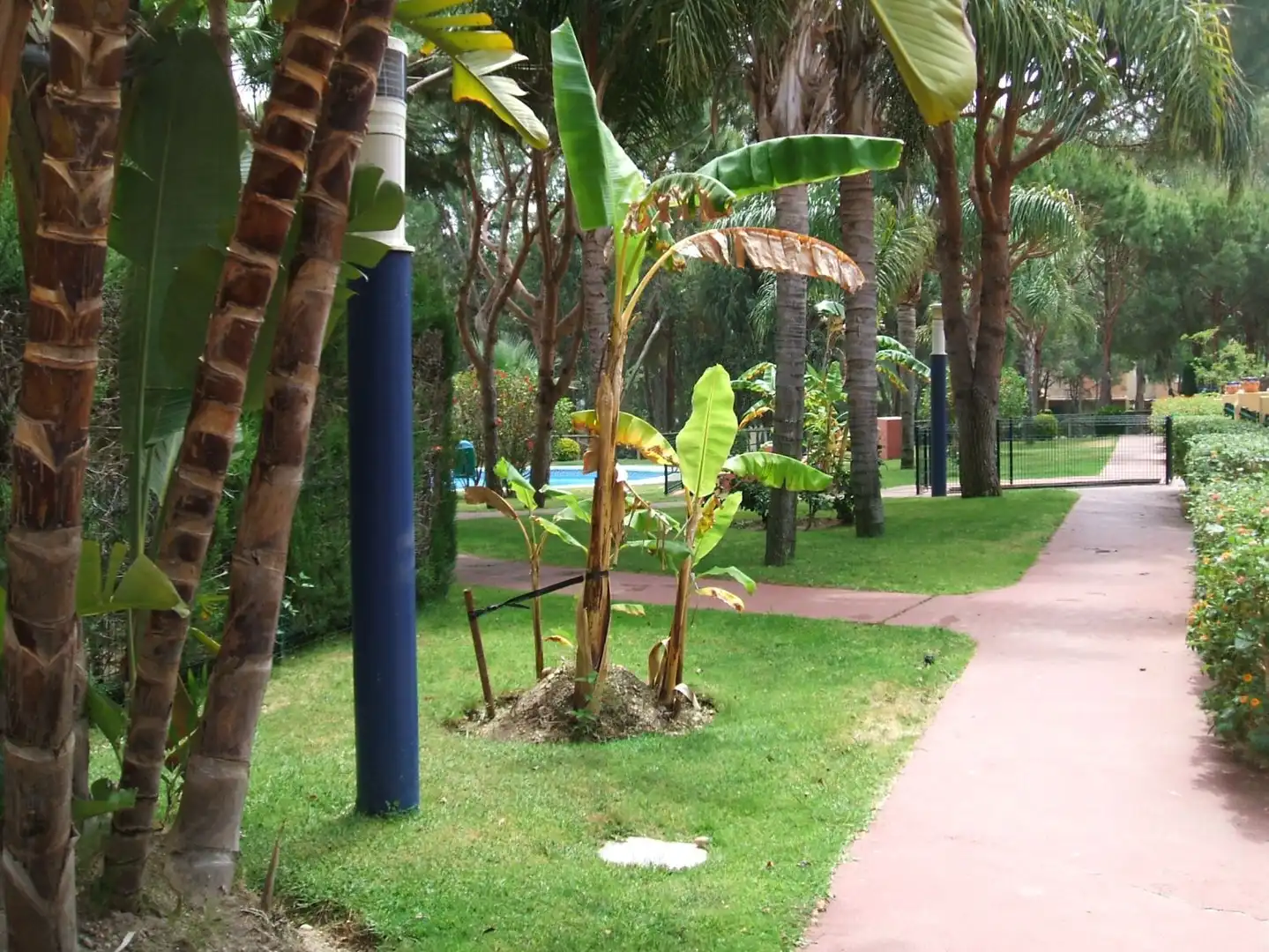 Adossat en venda a Islantilla Golf, imagen 2