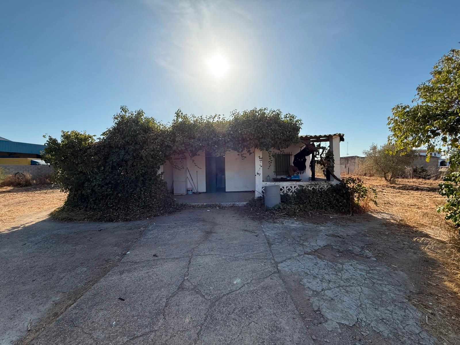 Vista exterior de Finca rústica en venda en Trigueros amb Jardí privat, Terrassa i Traster