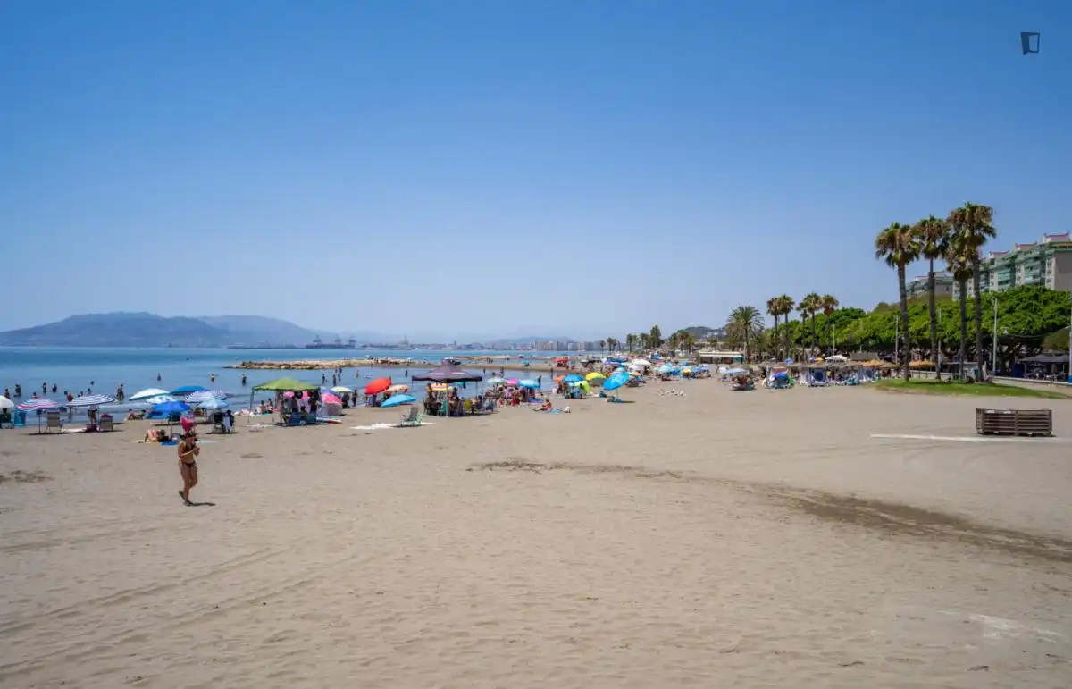 Vista exterior de Estudi de lloguer en Málaga amb Aire condicionat, Calefacció i Moblat