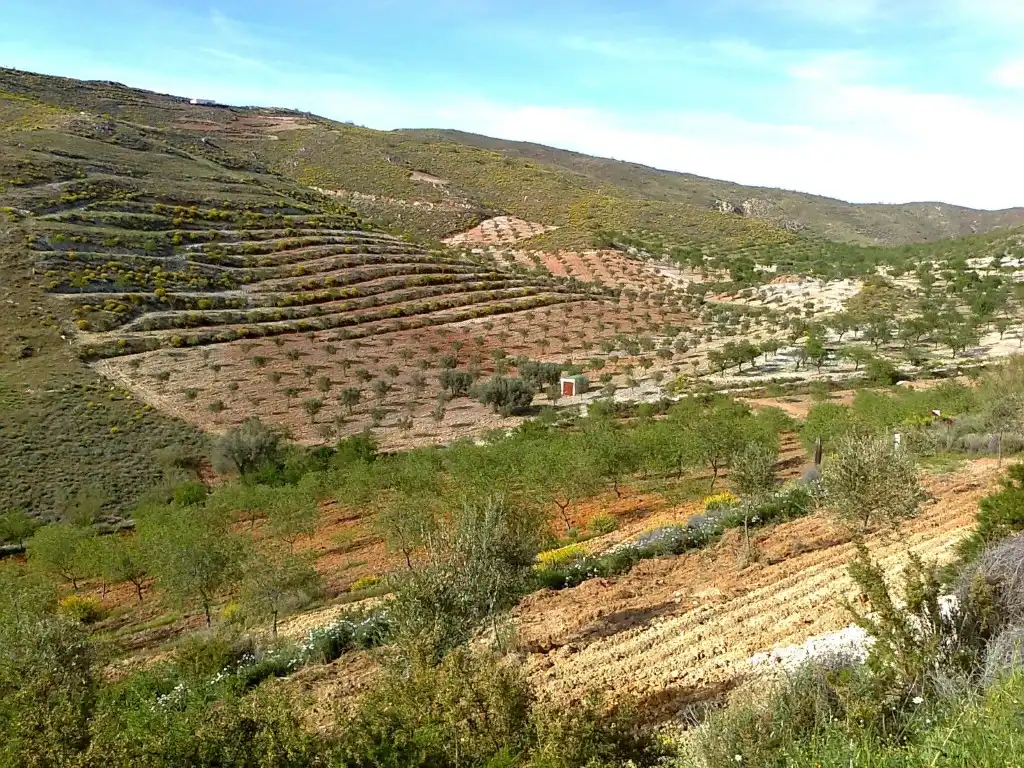 Casa o xalet en venda a del Hinojo a los Jerales, Lubrín
