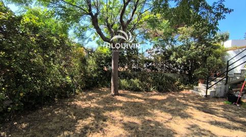 Photo 2 of Houses for sale in Sector E, Centro - Torre de la Higuera, Almonte