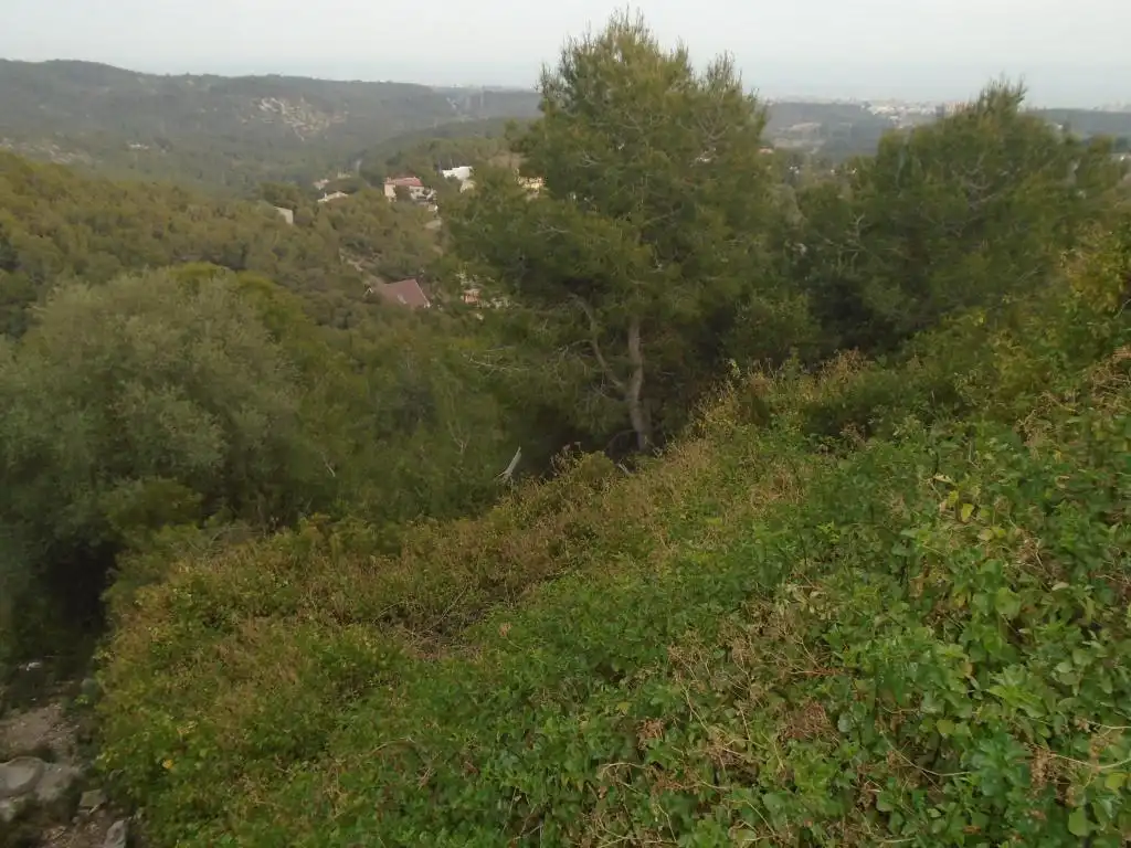 Rural land for sale in C/ Tulipa, imagen 8