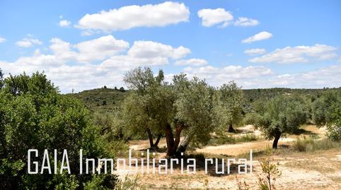 Photo 5 of Land for sale in Doctor Cerrada, Zaragoza
