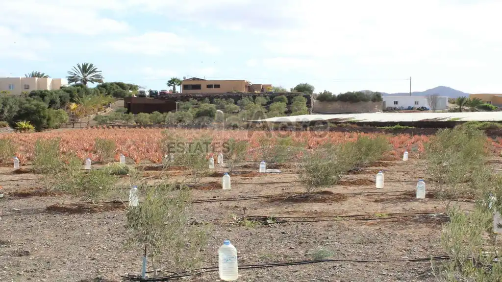 Casa o xalet en venda en Tuineje