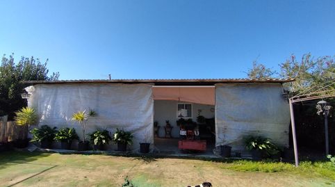 ESTUPENDA FINCA EN CHIPIONA, immagine 5