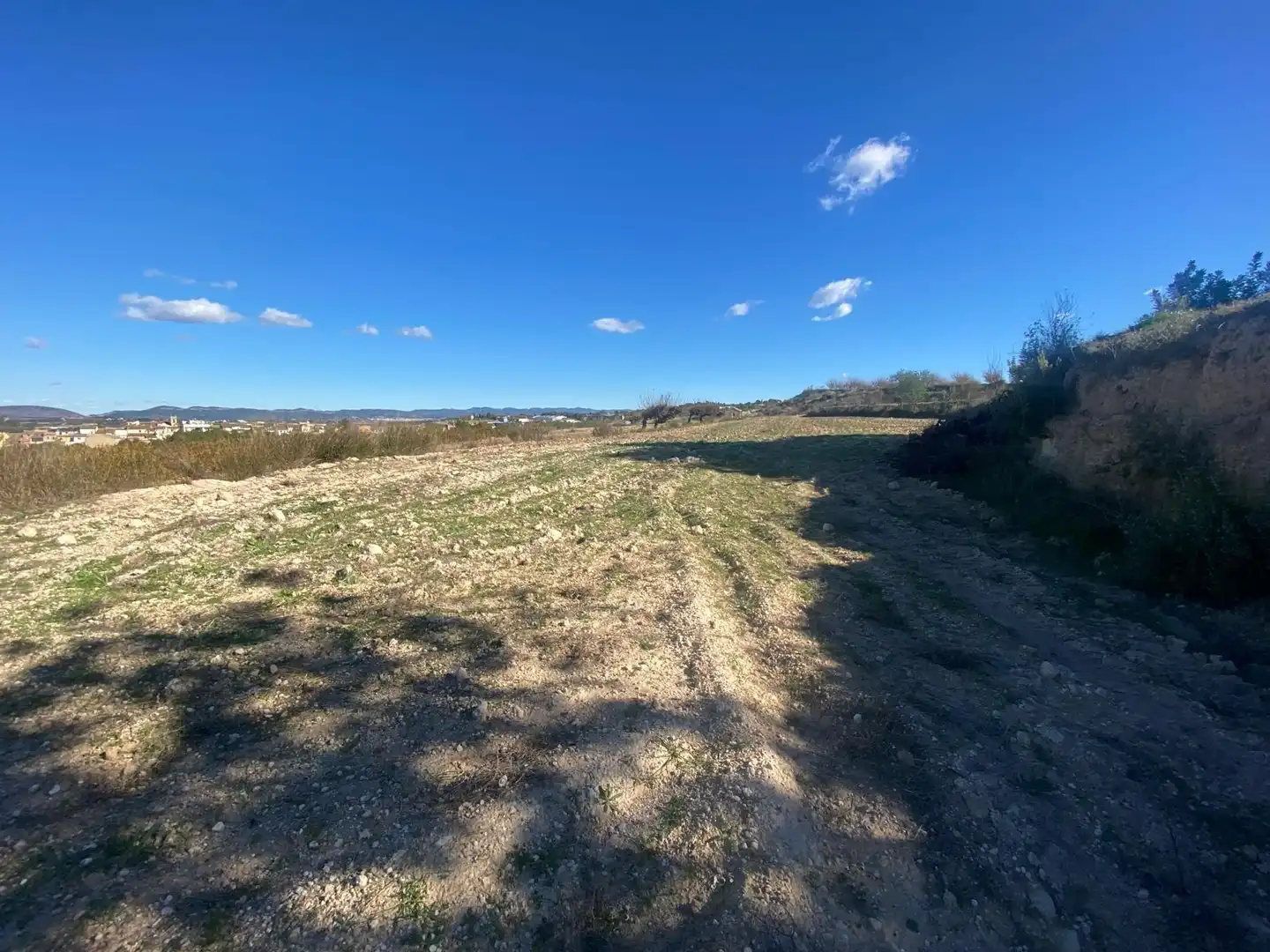 Terreno residenziale in vendita a Albaida, imagen 7