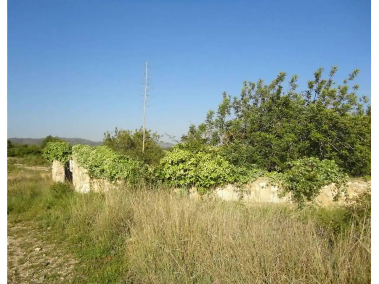 Terreny residencial en venda a Carretera Clarà 00, imagen 12