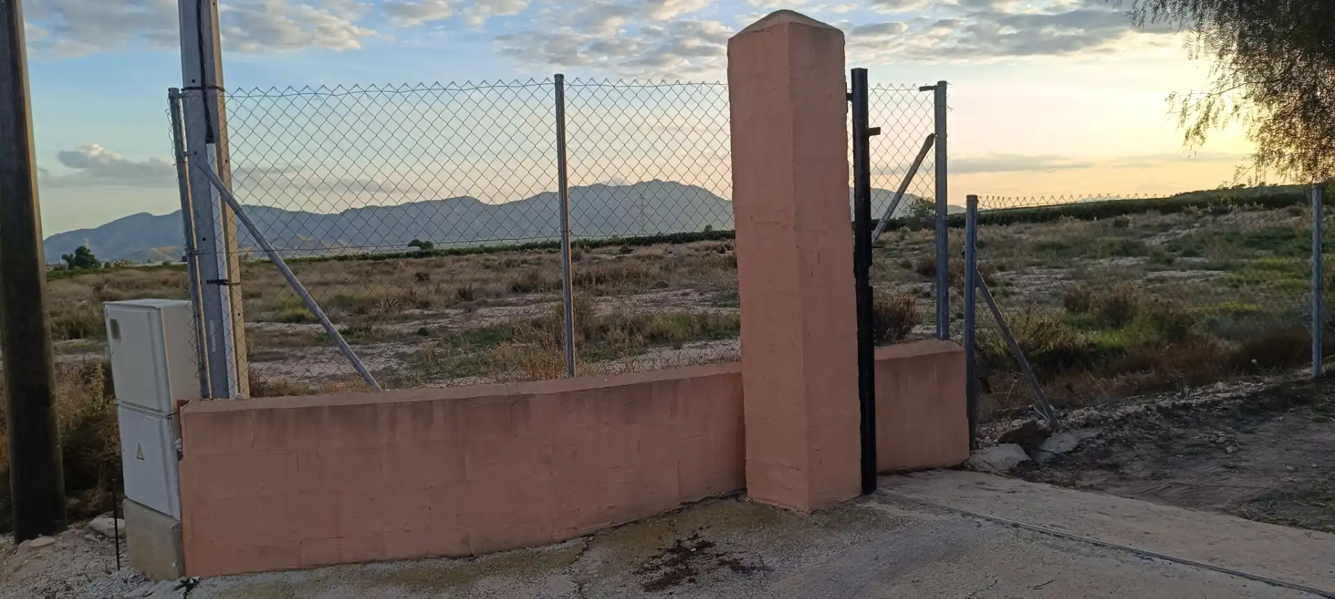Vista exterior de Finca rústica en venda en Elche / Elx amb Jardí privat