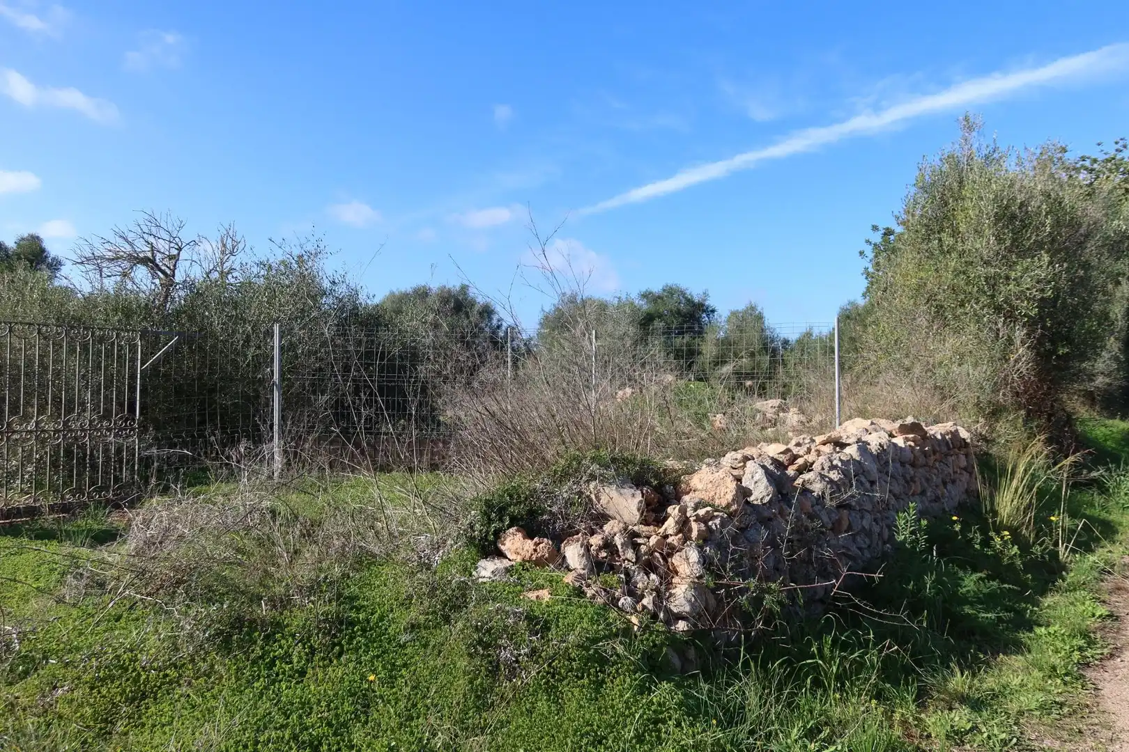 Residential land for sale in Campos poble, imagen 8