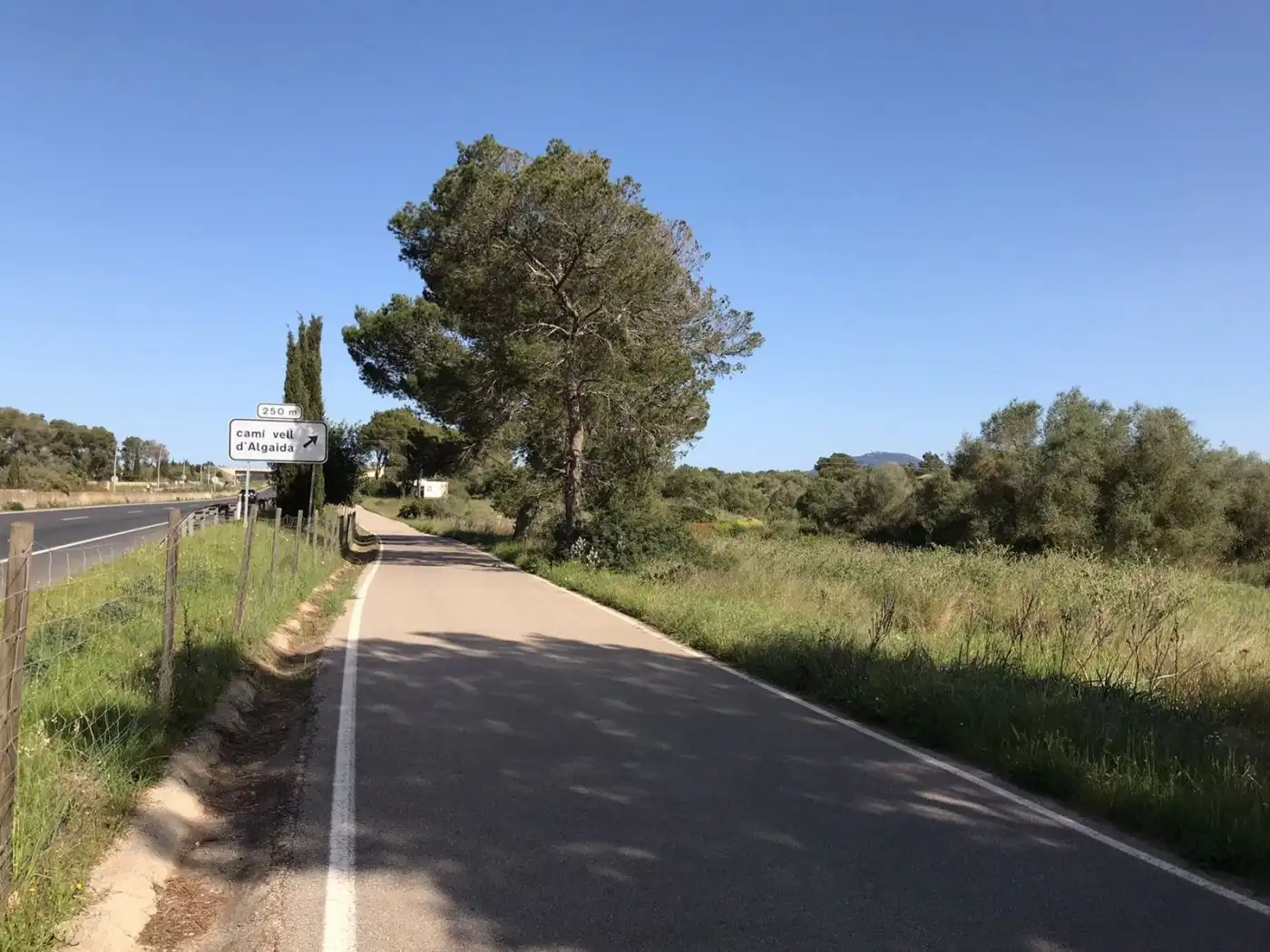 Terrenys i solars en venda a Algaida, imagen 9