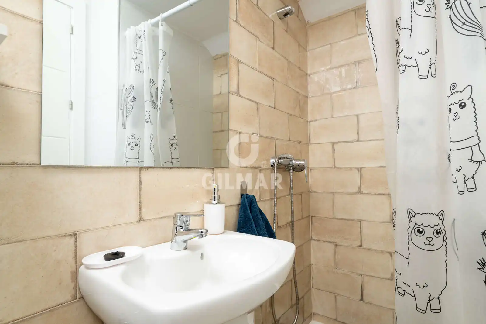 Bathroom of Detached homes for sale in Chiclana de la Frontera  with Private garden, Swimming Pool and Furnished